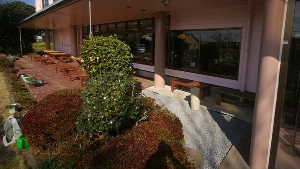 A building with a covered outdoor seating area, a large tree, and a bench.