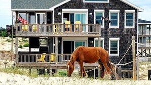 A two-story house with a balcony, a horse tethered in front, and a sandy beach in the background. - OCEANFRONT, 4-wheel drive area, Wild Horses, Ocean Views! 4x1662, Dolphin Watch (Corolla)