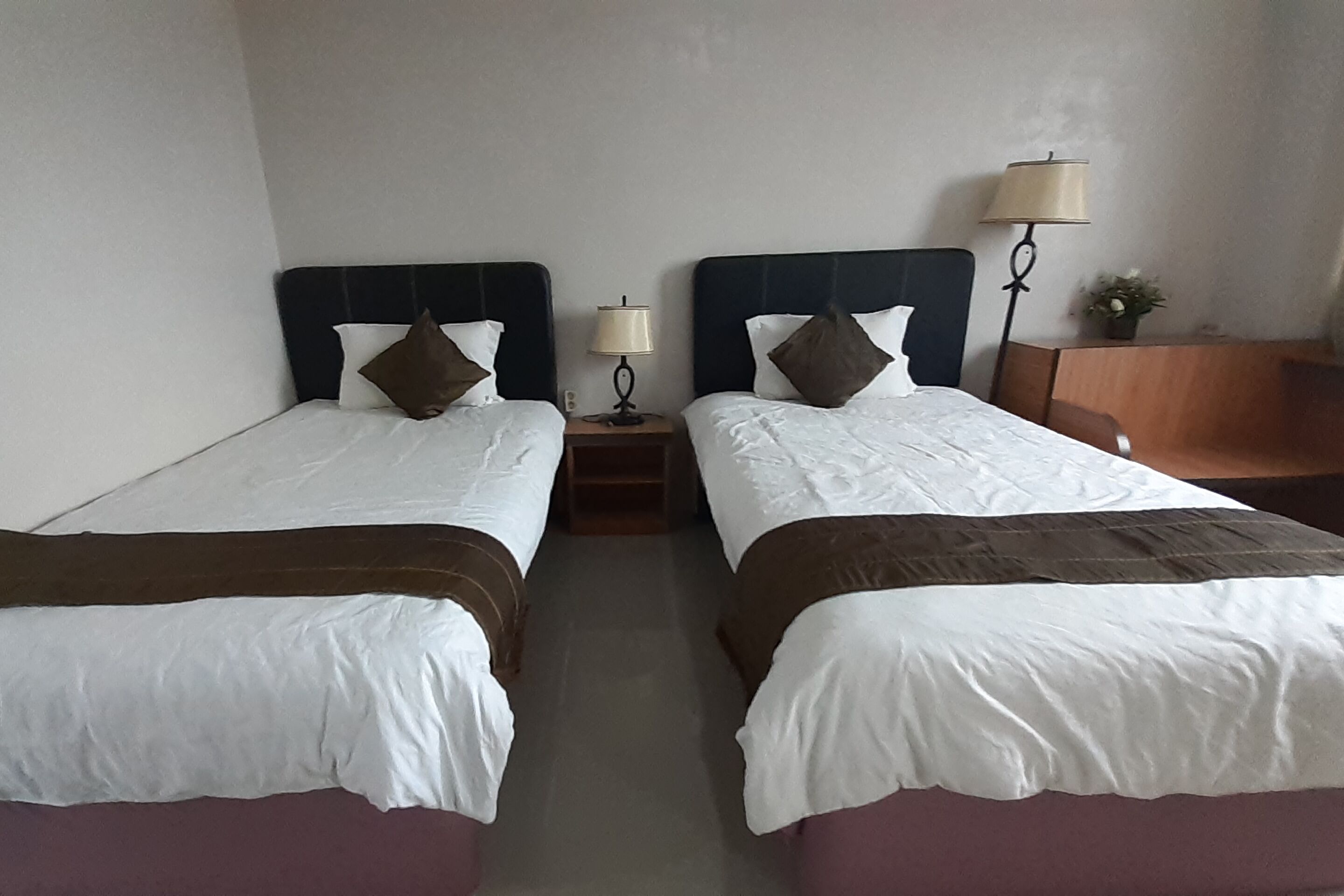 deluxe twin room