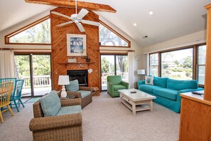 Télévision, cheminée, lecteur de DVD, livres