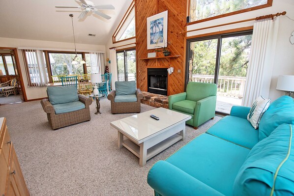 TV, lareira, DVD player, livros