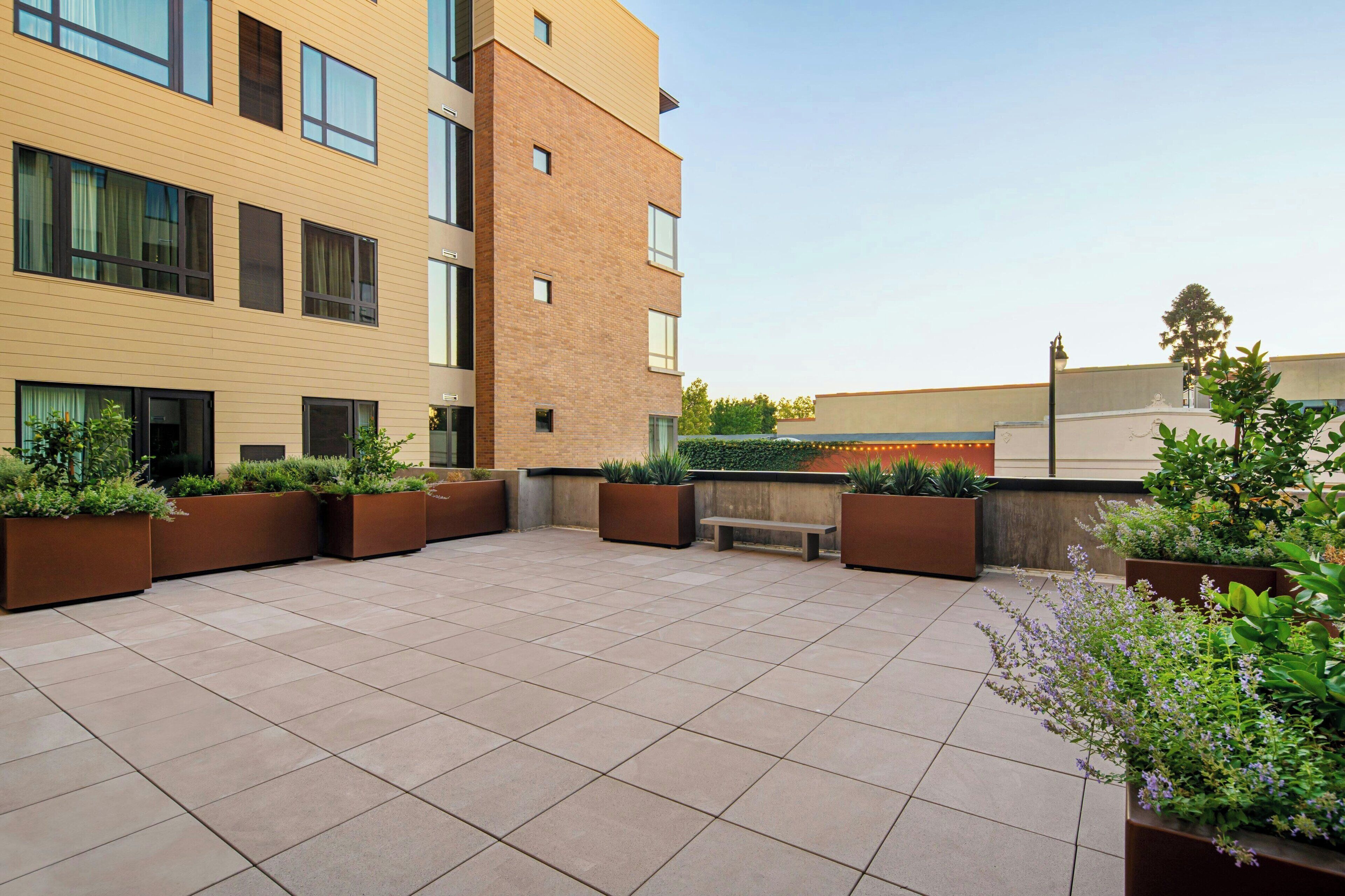 Eine Dachterrasse mit Fliesenboden, mehreren Pflanzgefäßen mit Grünpflanzen, einer Sitzbank und einem Gebäude mit großen Fenstern und einer Ziegelaußenwand.