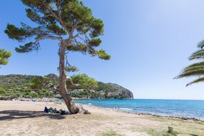 Une plage avec un grand arbre, un ciel bleu clair et une vue lointaine sur des maisons situées sur une colline.