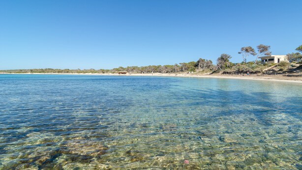 Escena costera de una playa con agua clara, orilla de arena y un edificio con techo inclinado.