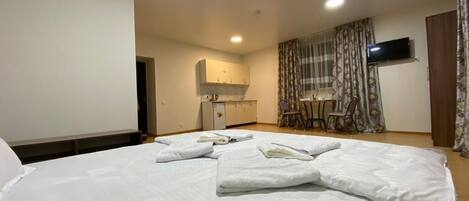 Business Double or Twin Room | 1 bedroom, minibar, desk, laptop workspace