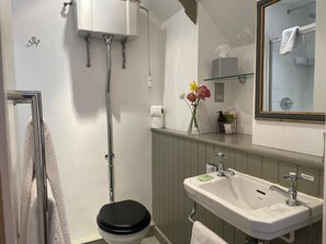 A bathroom with a toilet, a sink, a shower, and a mirror.