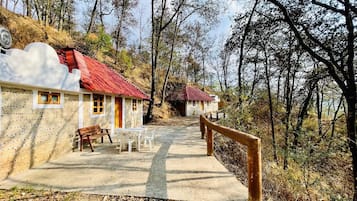 Habitación estándar, varias camas | Wifi gratis y ropa de cama