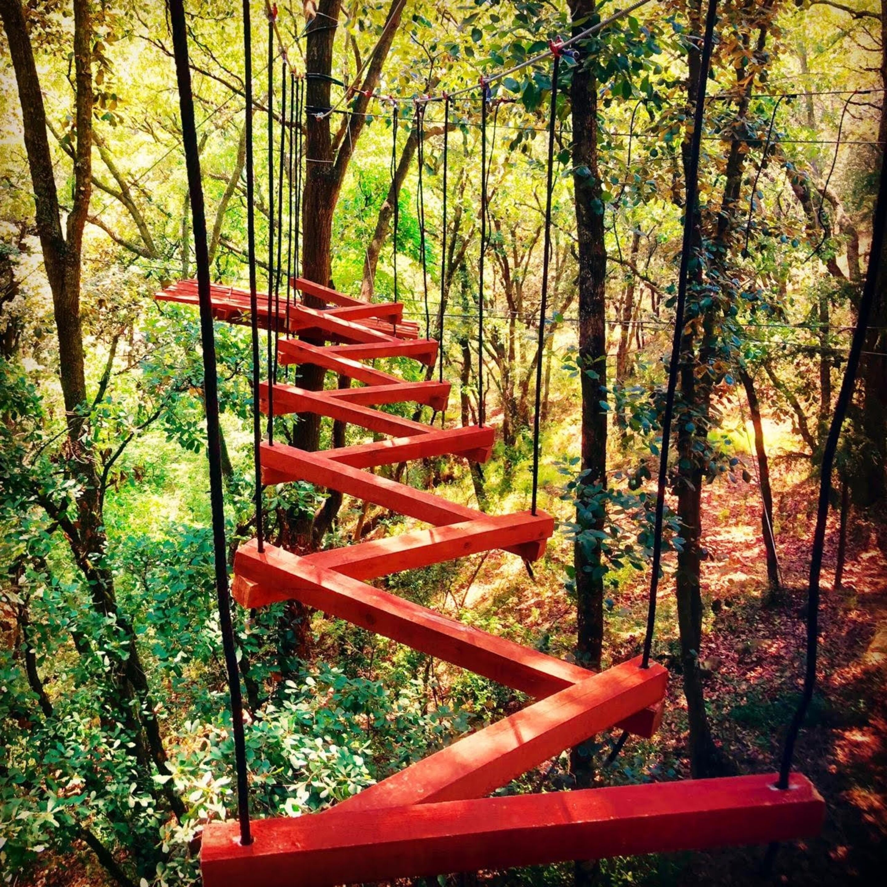 A red suspension bridge in a forest.