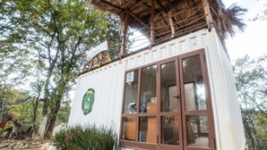 Una cabaña pequeña y rústica con un ventanal grande y una puerta, rodeada de vegetación natural y un sendero de tierra.