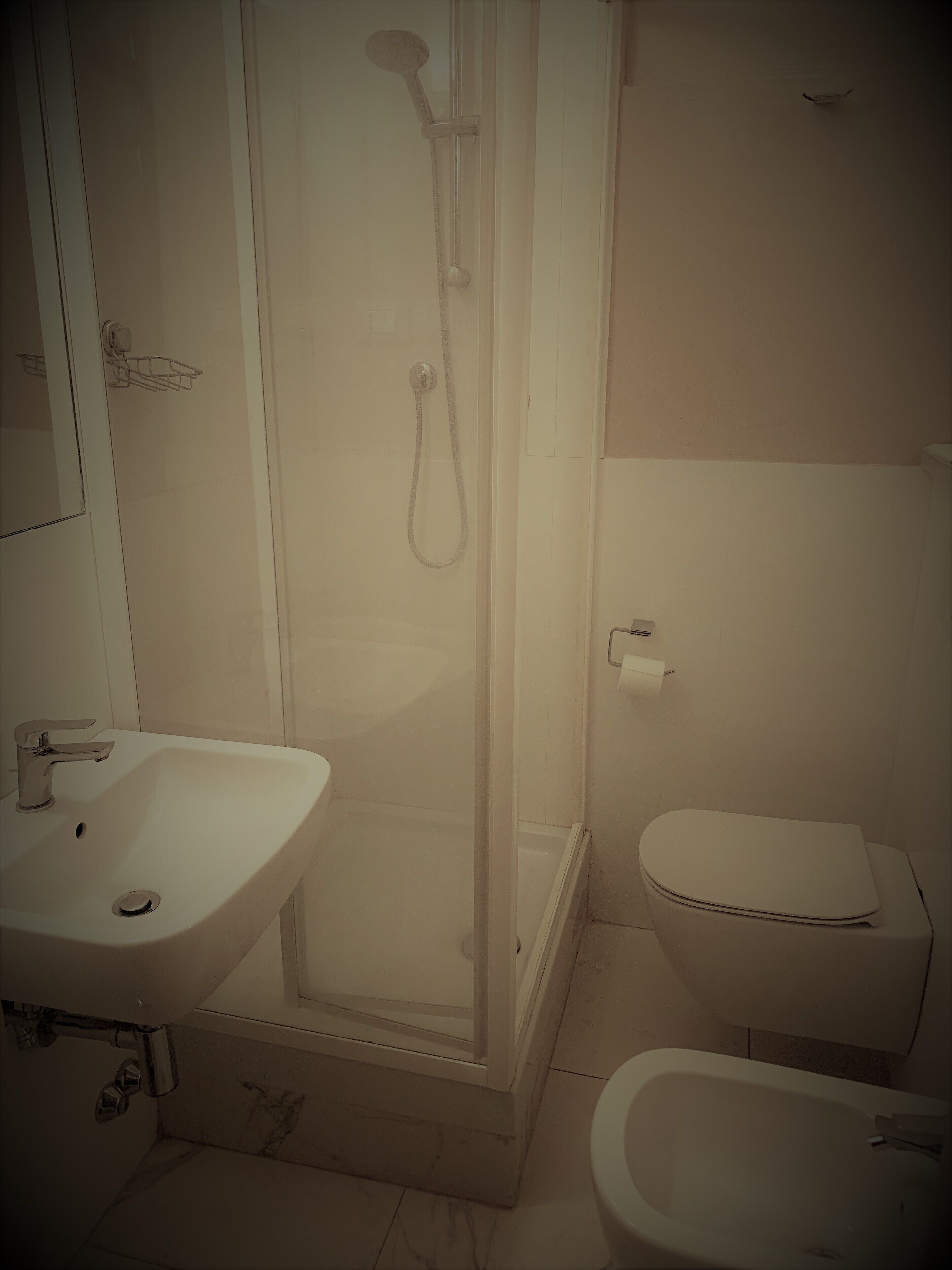 shower, hair dryer, bidet, towels