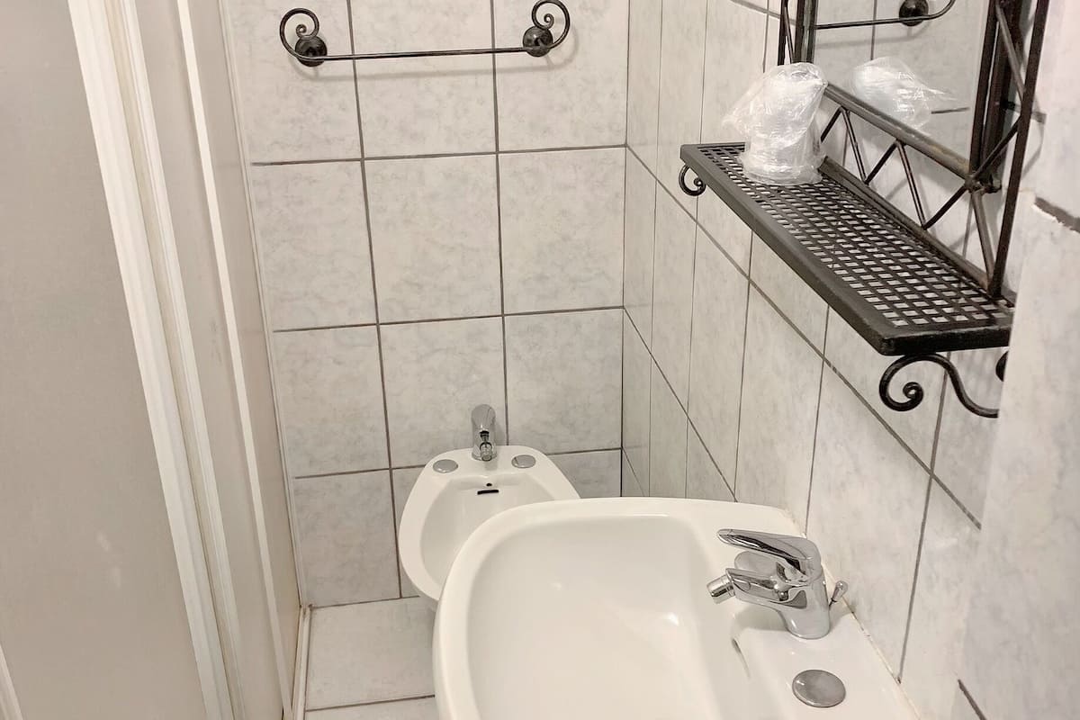 shower, hair dryer, bidet, towels