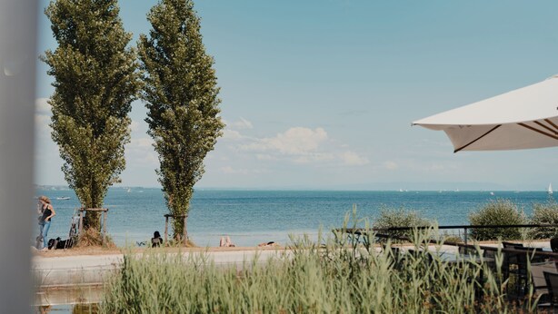 A coastal view with two tall trees, a beach, and a body of water. - Hotel am Fischmarkt (Konstanz)