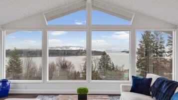 Télévision, cheminée, livres