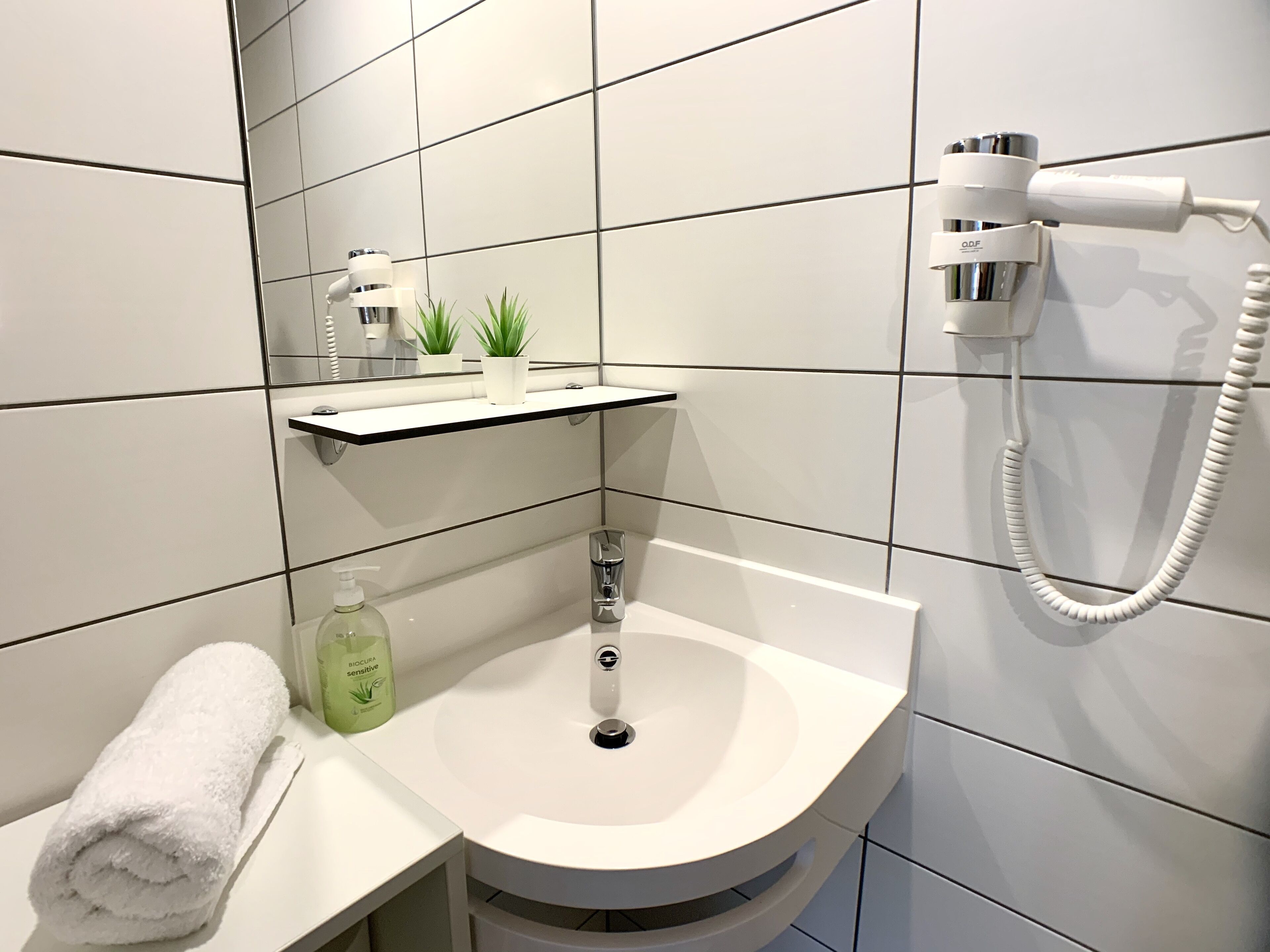 Shower, hair dryer, towels