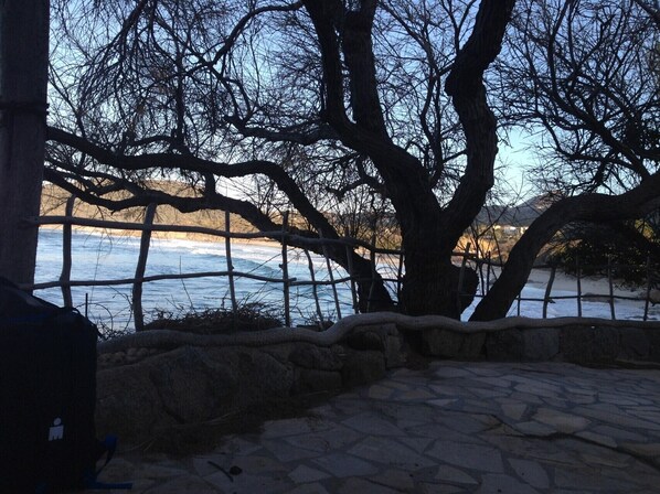 A stone-paved area with a large tree in the foreground, a stone wall, and a view of a body of water with a distant shoreline.