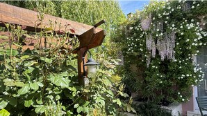 Ein Garten mit einer Holzpergola, Kletterpflanzen und einer hängenden Leuchte.