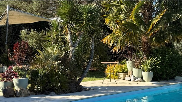 Ein Poolbereich mit Pool, Topfpflanzen und einem Tisch.