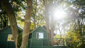Front of property - Will's Tree House (Banbury)