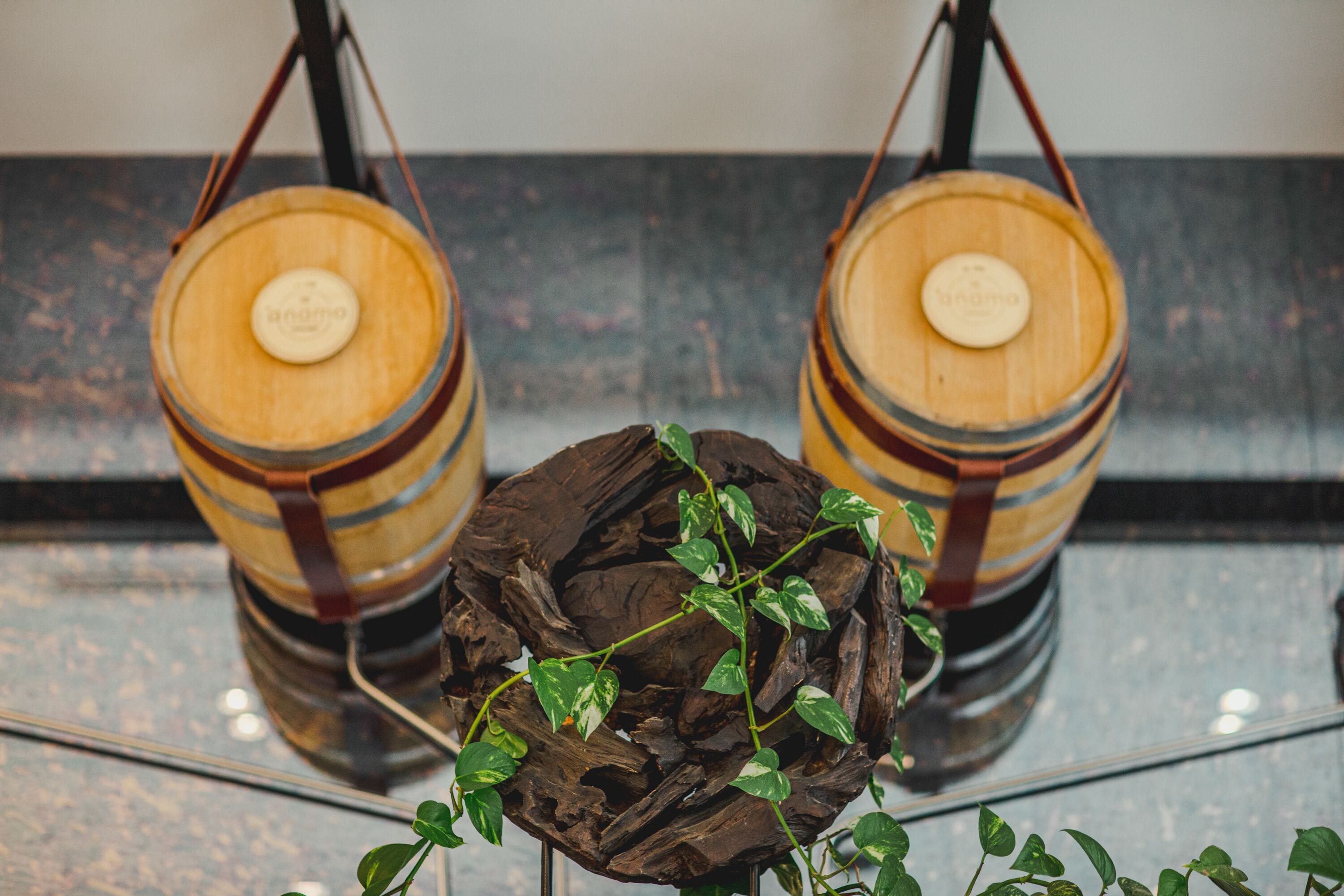 Two wooden barrels with metal bands, one with a plant growing through it, and a reflective surface below.