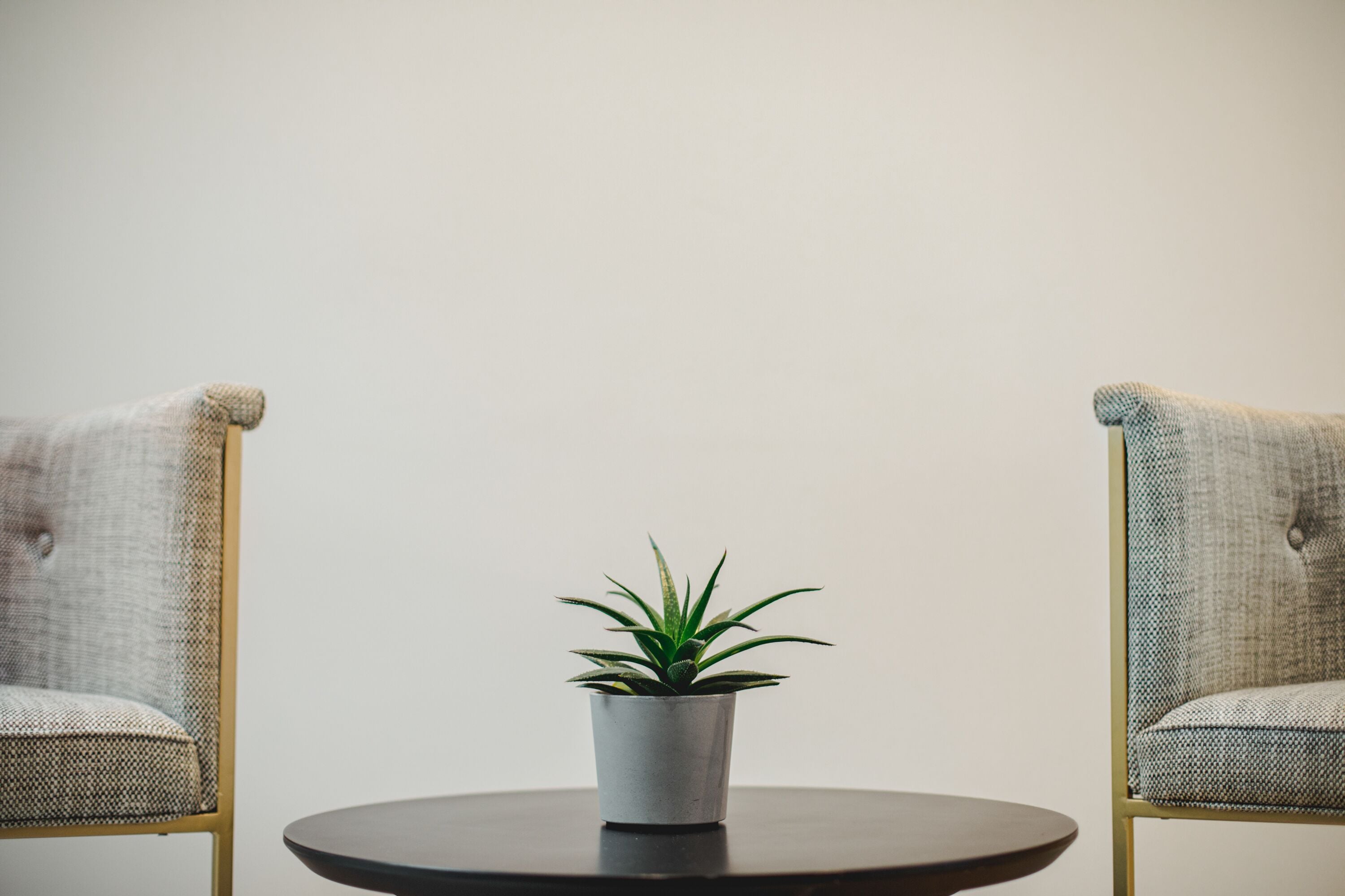 A round table with a potted plant in the center, flanked by two upholstered chairs with a woven texture.