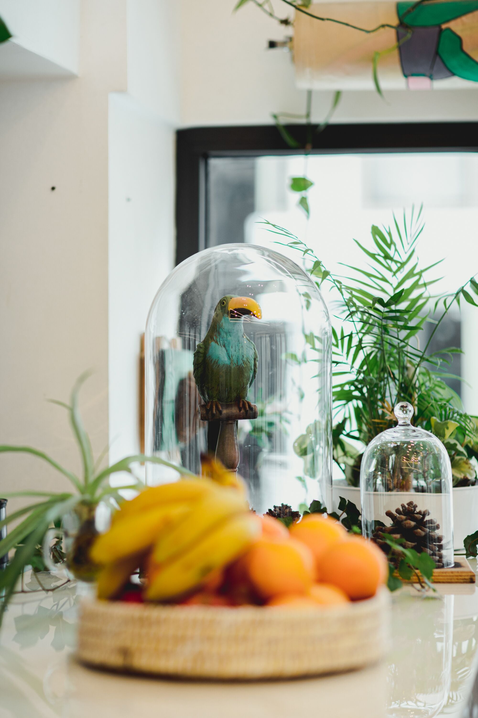 A bird in a glass dome on a table with a fruit bowl and a pinecone display.