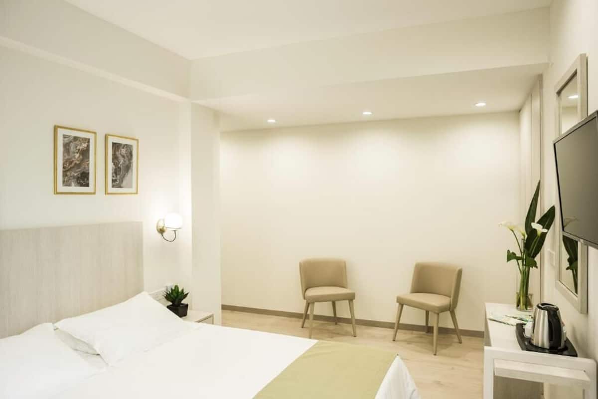 A hotel room with a bed, two chairs, a TV, and a small table with a plant.