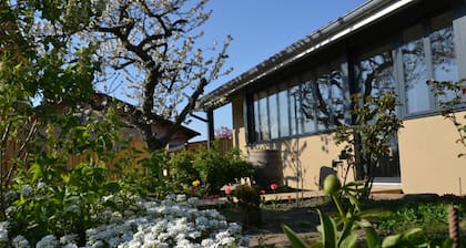 GĂźte Familial 200mÂČ avec Jardin, Terrasse, Jeux, et Confort Moderne Ă Chazelles-sur-Lyon