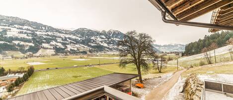 Traditional Apartment, 2 Bedrooms, Terrace (Hamberg) | Balcony view