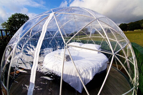 캐빈, 침실 4개 (Lodge and Outdoor Dome) | 4 개의 침실, 무료 WiFi