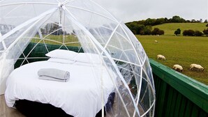 Cabaña, 4 habitaciones (Lodge and Outdoor Dome) | 4 habitaciones y wifi gratis
