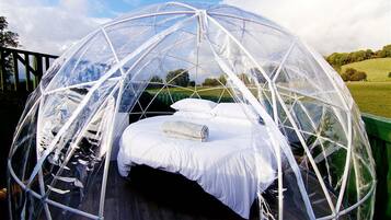 George Getaway (Lodge and Outdoor Dome) | 4 bedrooms, free WiFi