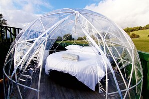 George Getaway (Lodge and Outdoor Dome) | 4 bedrooms, free WiFi - George's Getaway (Warwick)