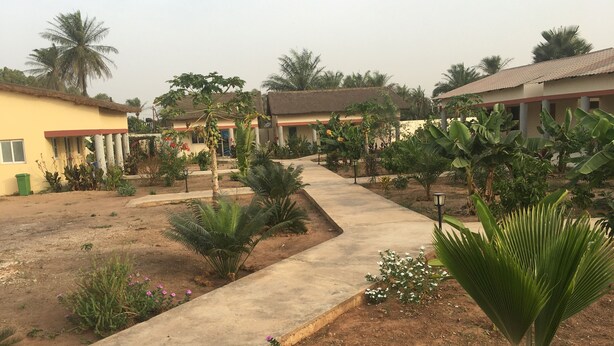 A courtyard with a concrete pathway, palm trees, and a building with a tiled roof. - Séné-Marra haven of peace.  (Cap Skirring)