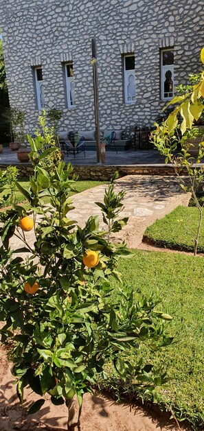 Jardin