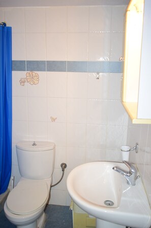 Monolocale | Bagno | Doccia, asciugamani