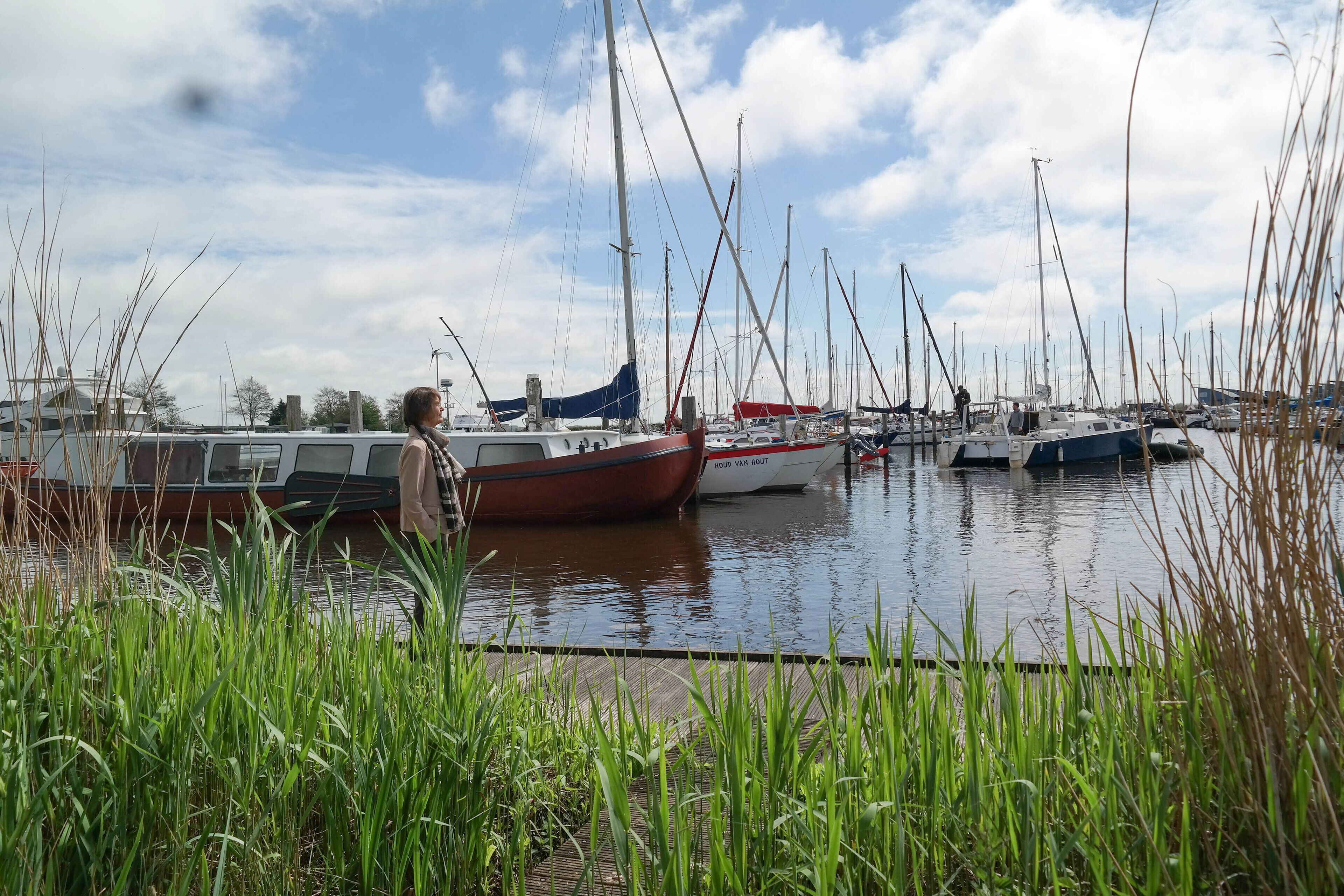 A marina with several boats docked, surrounded by tall grass and a clear sky.