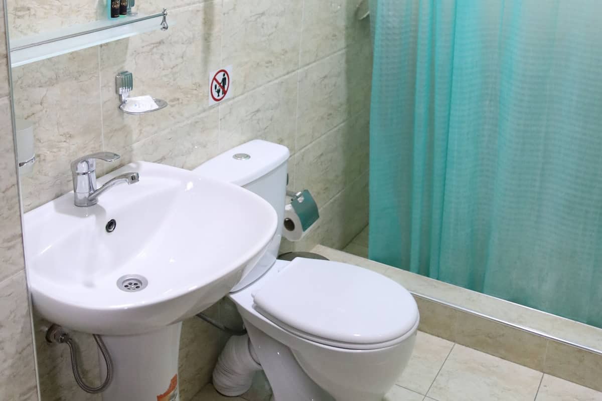 A bathroom with a sink, toilet, and a shower curtain.
