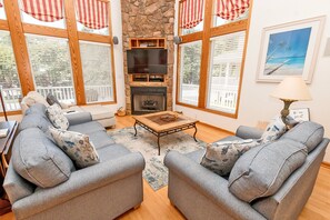 Télévision, cheminée, lecteur de DVD, livres