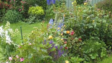 Apartment (Ferienwohnung "Meeresleuchten") | Unterkunftsgelände