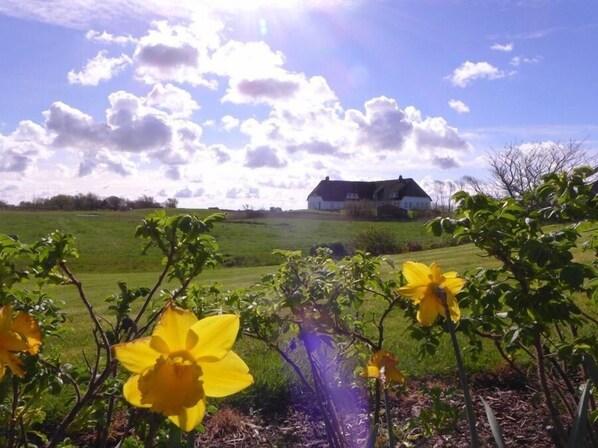 Apartment (Ferienwohnung "Meeresleuchten") | Property grounds