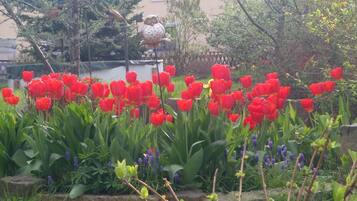 Apartment | Unterkunftsgelände