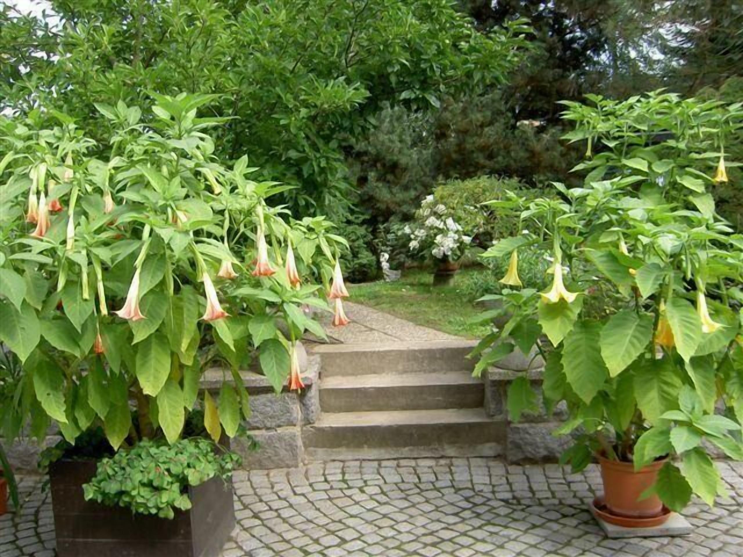 Apartment | Unterkunftsgelände