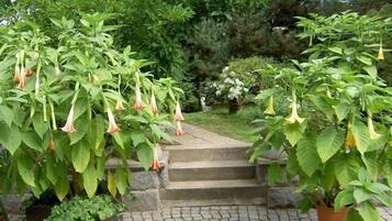 Apartment | Unterkunftsgelände