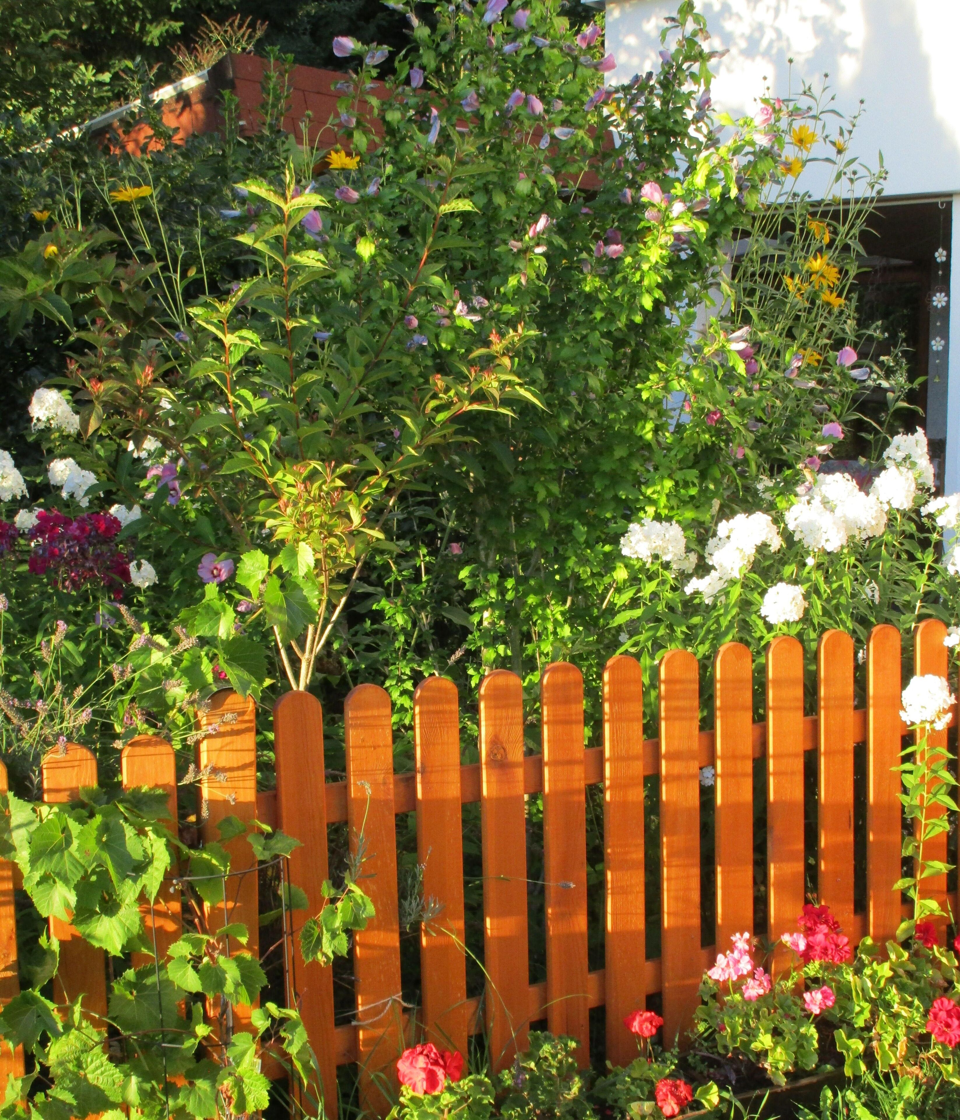 Apartemen (CHRISTEL´S  Ferienwohnung) | Eksterior