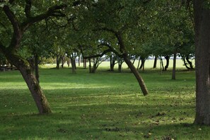 Apartamento | Área da propriedade