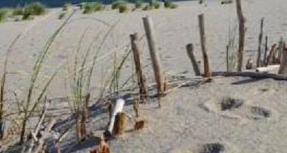 "haus Dagmar", App. 2