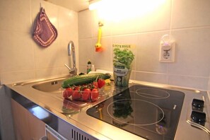 Apartment | Eigene Küche | Kühlschrank, Herdplatte, Wasserkocher mit Kaffee-/Teezubehör