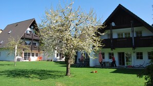 Ein Wohngebiet mit zwei Häusern, einem Rasen und einem Baum mit weißen Blüten.