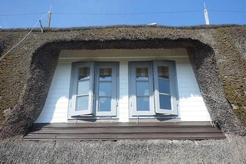 Sylt - Traum Keitum Möwe