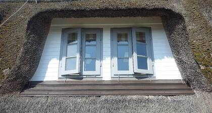 Sylt - Traum Keitum Möwe